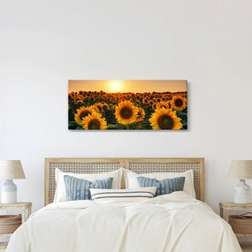 Kép - Napraforgó (120x50 cm)