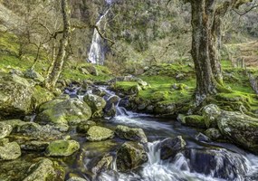 Poszter 100x70cm Aber 2 vízesés, Assaf Frank