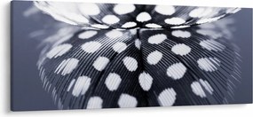 Kép - Toll (120x50 cm)