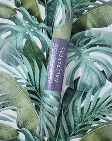 Fali tapéta, 3D hatás, nagy levelek, monstery, JS003