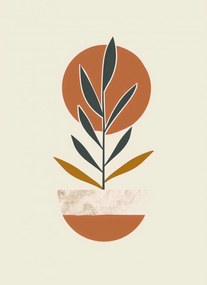 Poszter 40x55cm Korlátozott szimmetria