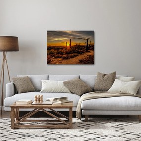 Kép - A nap vége az arizonai sivatagban (70x50 cm)