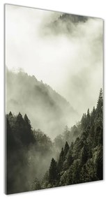 Üvegkép nyomtatás Köd az erdőben osv-98626353