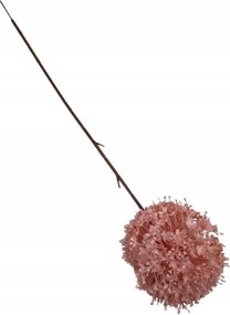 Fokhagyma Ág 64 CM Rózsaszín