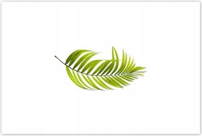 Poszterek 120x80 Zöld levél Minimalizmus