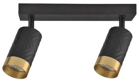 Spotlámpa ARRAS 2xGU10/10W/230V fekete