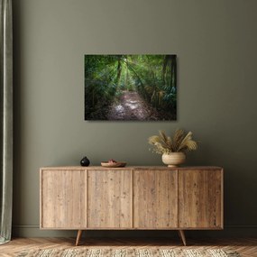 Kép - Napsugarak a dzsungelben (üvegen) (70x50 cm)