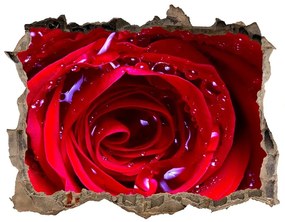 Fali matrica lyuk a falban Rózsa virág nd-k-100979783