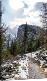Vászonkép Természet Hegyi ösvény 70x120 cm