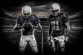 Flizelin fotótapéta Amerikai foci stadion érzelmek játék 200x140 +ragasztó