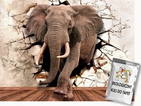 Fotótapéta Flizelina Fal Lyuk 3D Állat Elefánt Illúzió 250x175 ragasztó