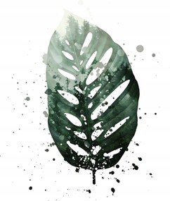 Fotótapéta Fehér levél erdő vinil köd 184x254 +ragasztó