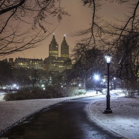 Poszter 30x30cm Ösvény a központi parkon át, Assaf Frank
