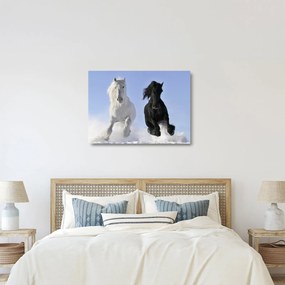 Üveg kép - Lovak télen (70x50 cm)