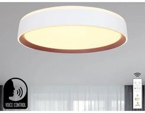LED Dimmelhető mennyezeti lámpa hangvezérléssel OPAL LED/48W/230V + távirányító