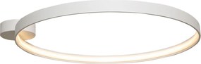 Zuma Line CIRCLE LA0769 Plafonlámpa 1x30W/LED 3000K 3870LM IP20