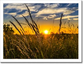 Poszterek keretben 40x30 Naplemente a füvek között