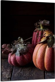 Vászonkép Konyha Sütőtök piros 60x90 cm