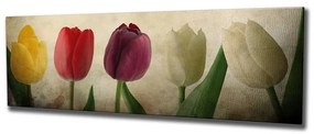 Vászon falikép, tulipánok, 80x30 cm, krémszínű - TULIPES
