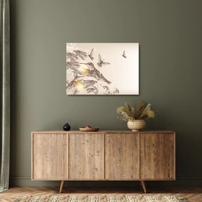 Kép - Kolibri (üvegen) (70x50 cm)
