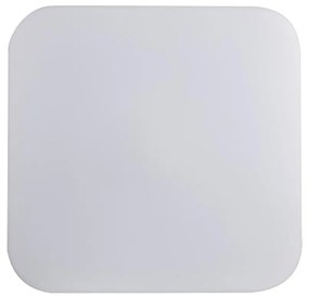 Prezent 71310 - LED mennyezeti lámpa MONOLITE LED/24W/230V szögletes