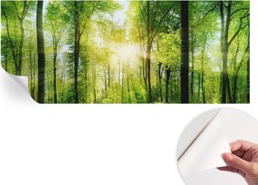 Fotótapéta Fali tapéta Hálószobába és Nappaliba Erdei harmónia 250x104 cm