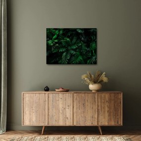 Kép - trópusi páfrány (70x50 cm)