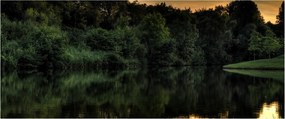 A tó képe az erdő mellett (120x50 cm)