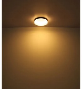 Globo 32112B - Fürdőszobai lámpa VRANOS 2xE27/60W/230V átm. 24 cm IP44