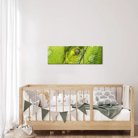Kígyó képe (órával) (90x30 cm)
