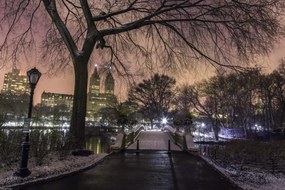 Poszter 45x30cm Esti kilátás a Central Parkra, Assaf Frank