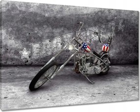 Képek 100x70 Motor Easy Rider