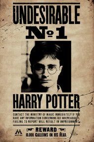 Művészi plakát Harry Potter - Undesirable No 1