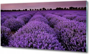 Fotótapéta üveg falra Orchidea bambusz 125x50