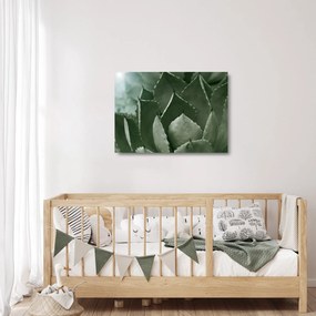 Üveg kép - Zöld agávé (70x50 cm)