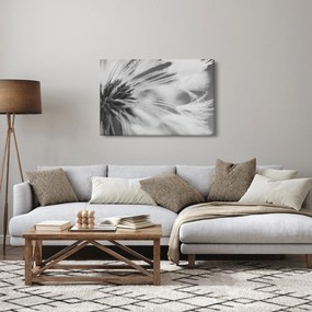 Kép - Pitypang (90x60 cm)