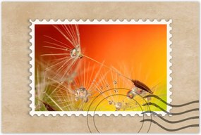 Poszterek 90x60 Pitypang Virág Virágok