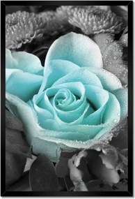 Poszter keretben 40x60 Türkiz rózsa