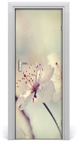 Poszter tapéta ajtóra Cseresznye virágok 95x205 cm