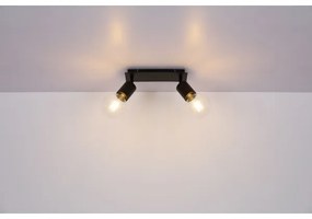 Globo 54030-2 - Spotlámpa HERMINE 2xE27/60W/230V