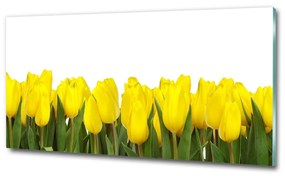 Egyedi üvegkép Sárga tulipánok osh-2665979