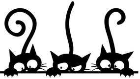 Funny Cats Trio 1 db 3 cicás falmatrica, 20 x 35 cm - Ambiance