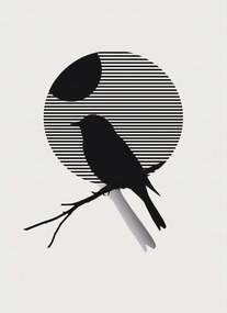 Poszter 40x55cm Kontraszt Karcsúság