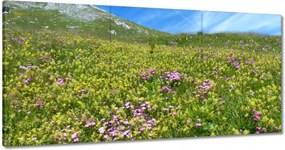 Festmények 180x90 Alpesi rét