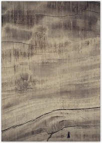 Poszterek A4 Pion Fa tégelyek Fa