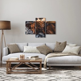 Egy kép fekvő kutyákról (90x60 cm)