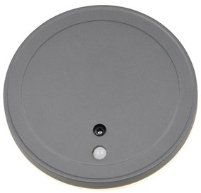 LED fali kültéri lámpa ø 14 cm Fortaleza – Trio