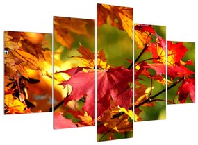 Őszi levelek képe (150x105 cm)