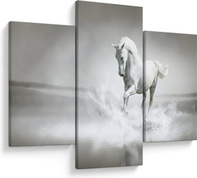Kép - Fehér ló (90x60 cm)