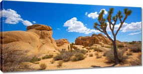 Vászonkép 115x55 Sivatagi táj